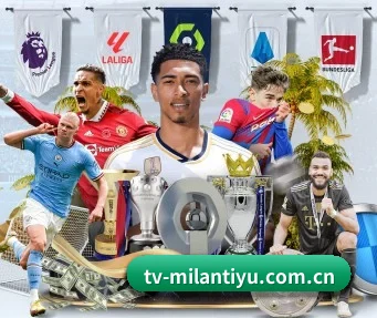 米兰体育 APP(MILANSPORT)