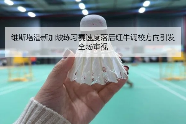 维斯塔潘新加坡练习赛速度落后红牛调校方向引发全场审视 | MILANSPORT